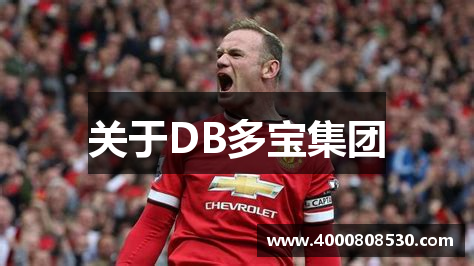 关于DB多宝集团